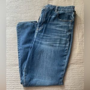 American Eagle Next Level Stretch Curvy Hi-Rise Jegging - Size 20 Regular - NWOT